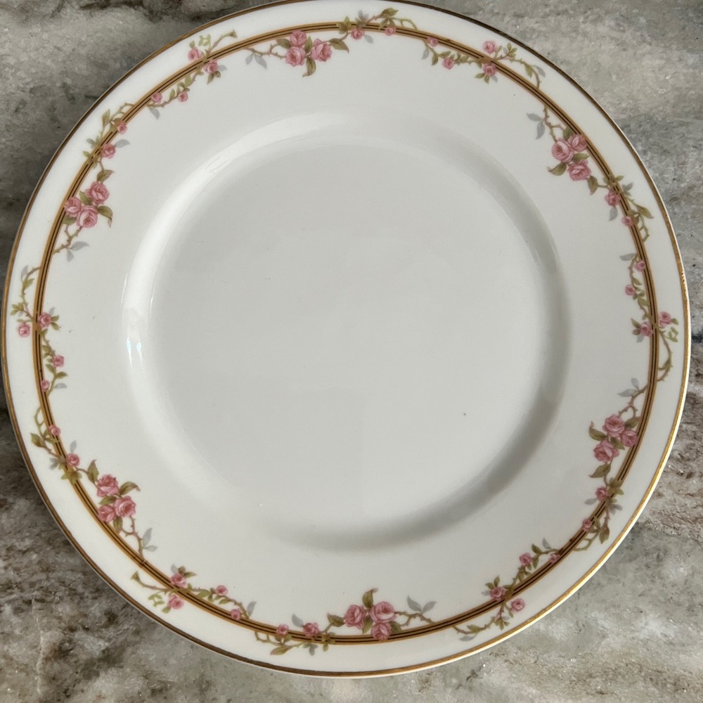 Limoges Theodore Haviland Schleiger 861 Dinner Plates 9 3/4 In - 2 Available!